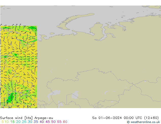 Surface wind Arpege-eu Sa 01.06.2024 00 UTC