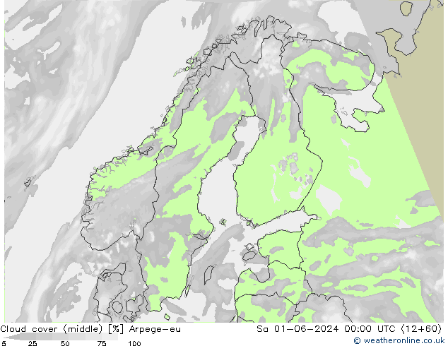 Wolken (mittel) Arpege-eu Sa 01.06.2024 00 UTC