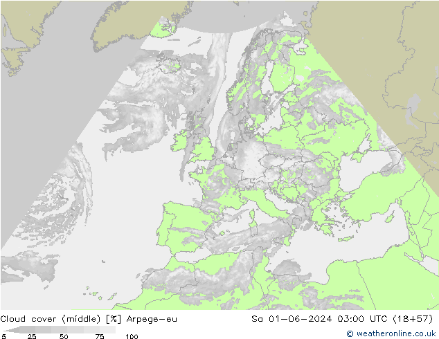 Cloud cover (middle) Arpege-eu Sa 01.06.2024 03 UTC