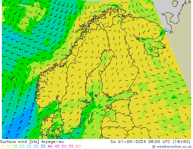 Rüzgar 10 m Arpege-eu Cts 01.06.2024 06 UTC