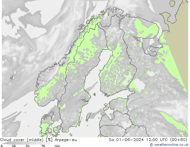 Wolken (mittel) Arpege-eu Sa 01.06.2024 12 UTC