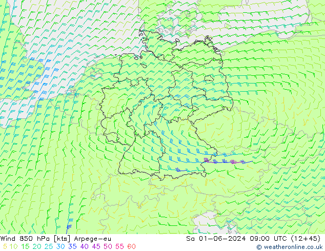 wiatr 850 hPa Arpege-eu so. 01.06.2024 09 UTC