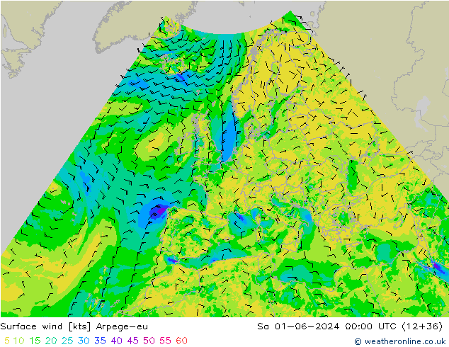 Surface wind Arpege-eu So 01.06.2024 00 UTC