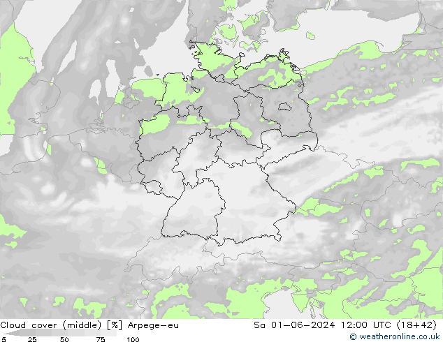 Cloud cover (middle) Arpege-eu Sa 01.06.2024 12 UTC