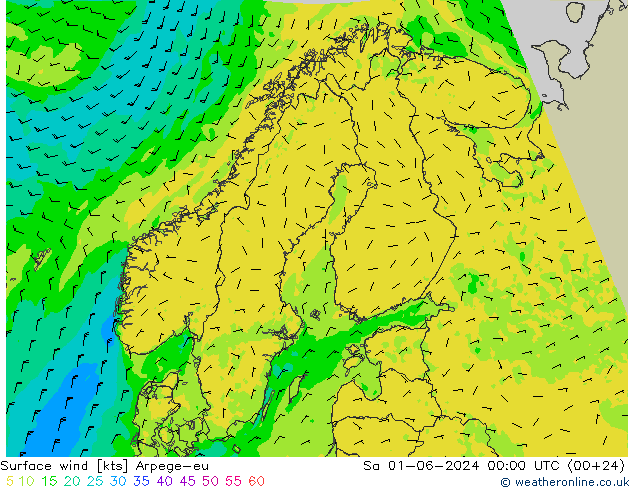 Surface wind Arpege-eu Sa 01.06.2024 00 UTC