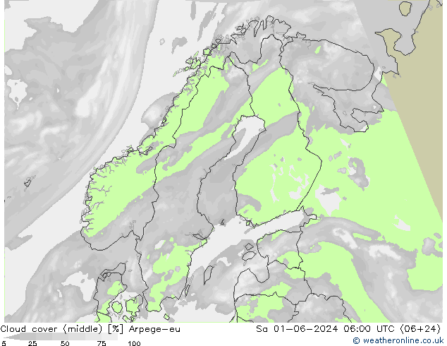 облака (средний) Arpege-eu сб 01.06.2024 06 UTC