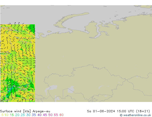 Surface wind Arpege-eu Sa 01.06.2024 15 UTC