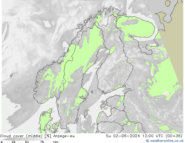 Bewolking (Middelb.) Arpege-eu zo 02.06.2024 12 UTC