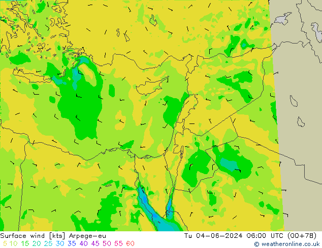 Surface wind Arpege-eu Tu 04.06.2024 06 UTC