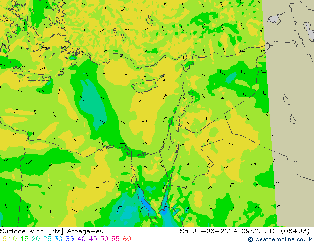 Bodenwind Arpege-eu Sa 01.06.2024 09 UTC