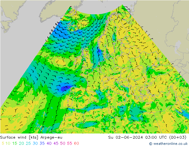 风 10 米 Arpege-eu 星期日 02.06.2024 03 UTC