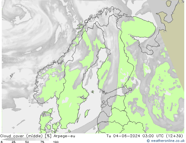 Cloud cover (middle) Arpege-eu Tu 04.06.2024 03 UTC