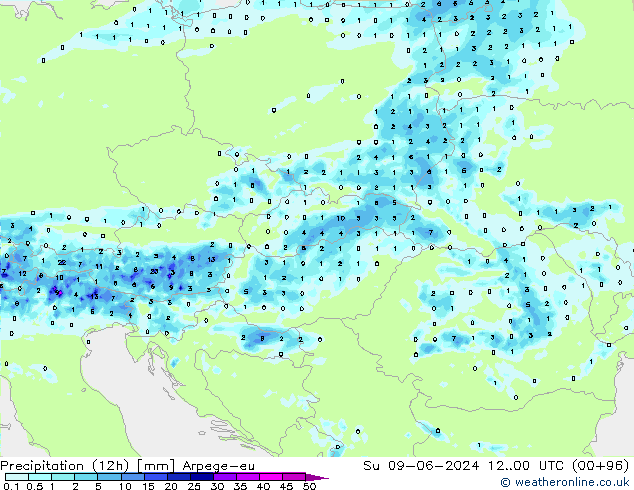 Precipitation (12h) Arpege-eu Ne 09.06.2024 00 UTC