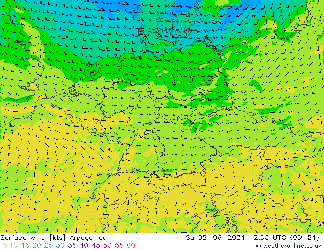 Surface wind Arpege-eu Sa 08.06.2024 12 UTC