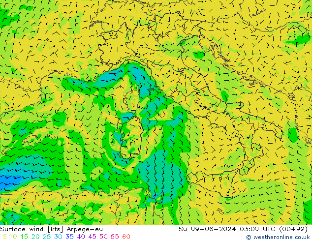 Surface wind Arpege-eu Su 09.06.2024 03 UTC