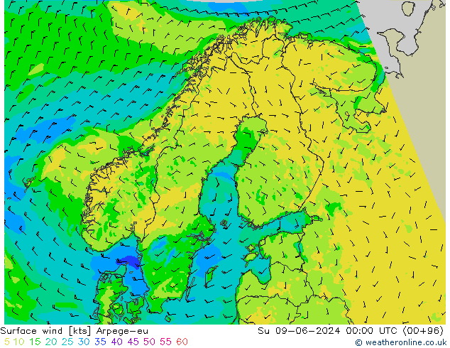 ветер 10 m Arpege-eu Вс 09.06.2024 00 UTC
