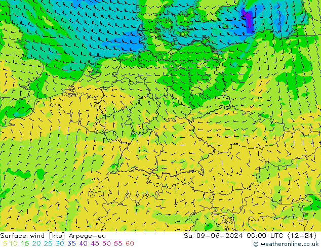 Surface wind Arpege-eu Su 09.06.2024 00 UTC