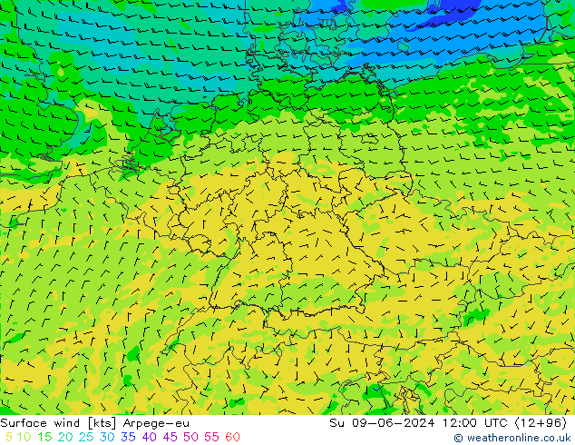 Surface wind Arpege-eu Su 09.06.2024 12 UTC