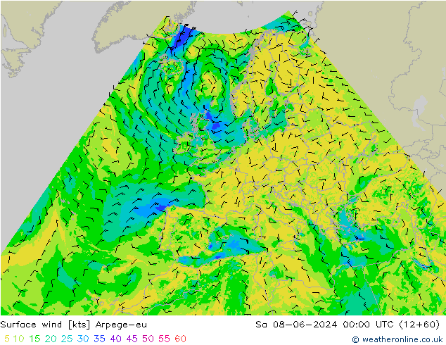 Bodenwind Arpege-eu Sa 08.06.2024 00 UTC