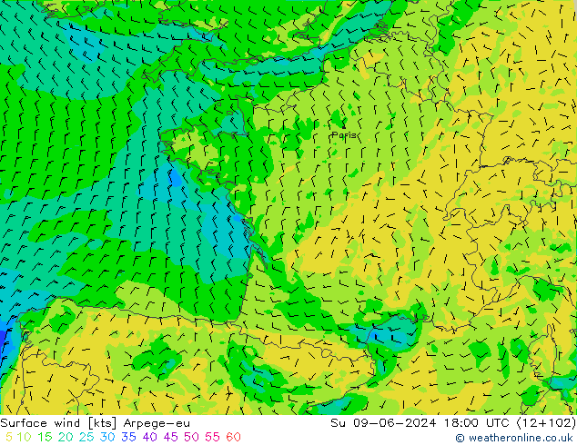 Surface wind Arpege-eu Ne 09.06.2024 18 UTC