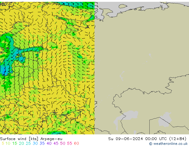 Surface wind Arpege-eu Ne 09.06.2024 00 UTC