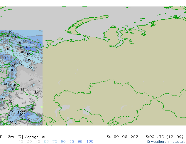 RH 2m Arpege-eu Вс 09.06.2024 15 UTC