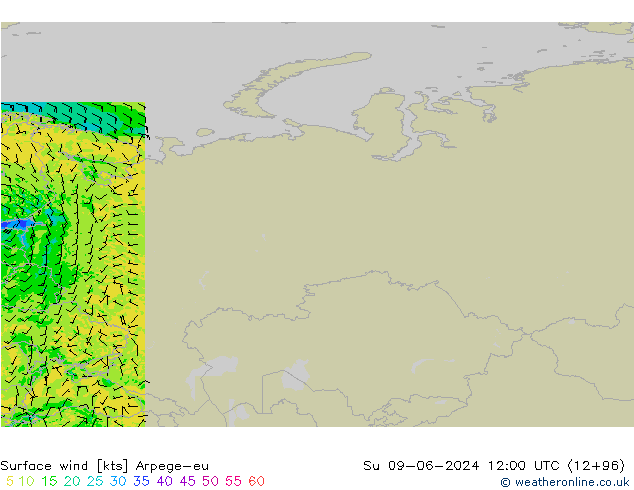  10 m Arpege-eu  09.06.2024 12 UTC