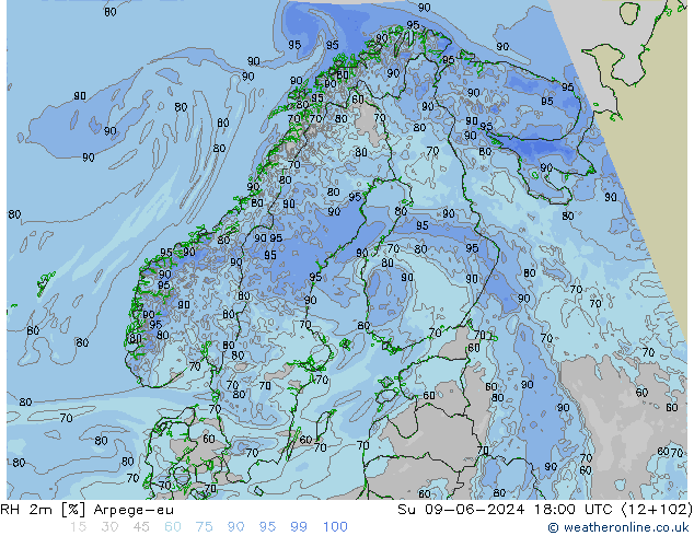 RH 2m Arpege-eu Вс 09.06.2024 18 UTC