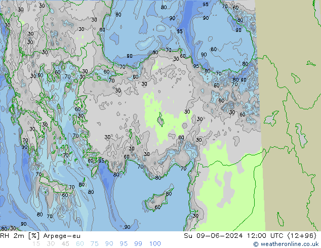 RH 2m Arpege-eu Вс 09.06.2024 12 UTC