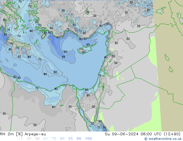 RH 2m Arpege-eu Вс 09.06.2024 06 UTC