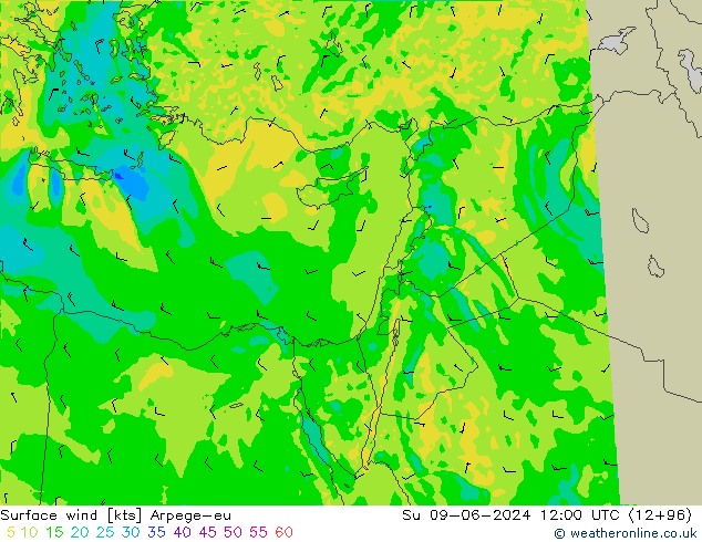 Surface wind Arpege-eu Su 09.06.2024 12 UTC