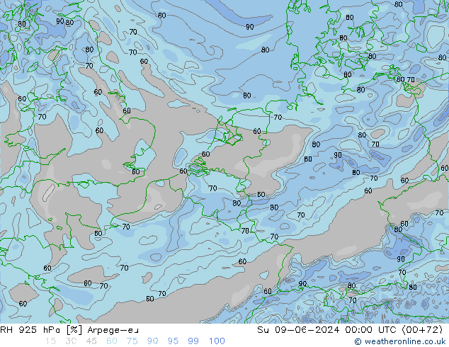 RV 925 hPa Arpege-eu zo 09.06.2024 00 UTC