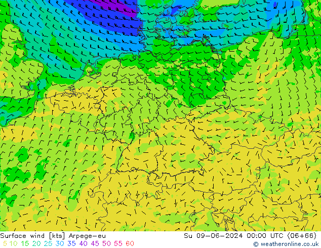 Surface wind Arpege-eu Su 09.06.2024 00 UTC