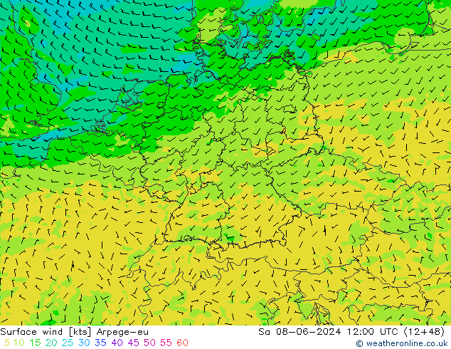 Surface wind Arpege-eu Sa 08.06.2024 12 UTC