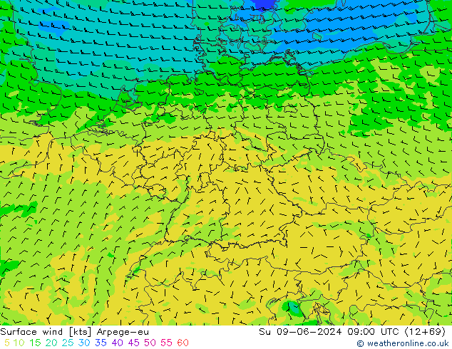 Bodenwind Arpege-eu So 09.06.2024 09 UTC