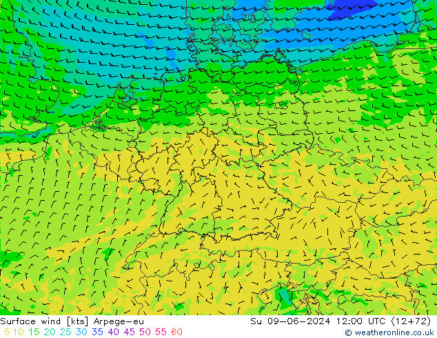 Surface wind Arpege-eu Su 09.06.2024 12 UTC