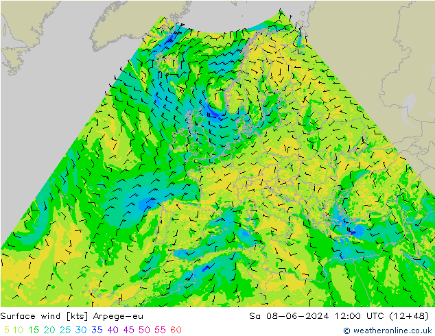 Surface wind Arpege-eu Sa 08.06.2024 12 UTC