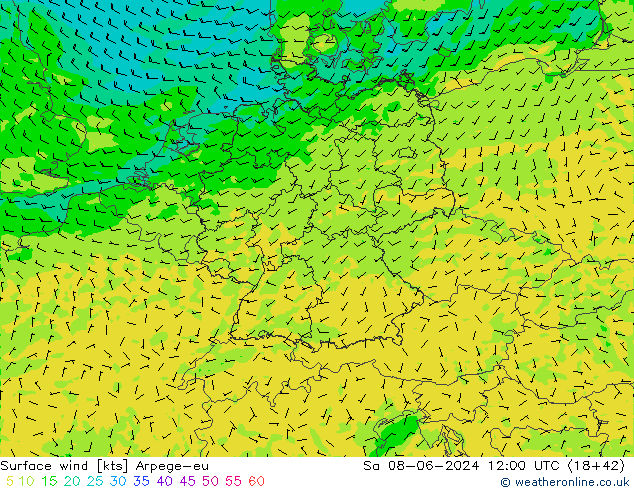 Bodenwind Arpege-eu Sa 08.06.2024 12 UTC