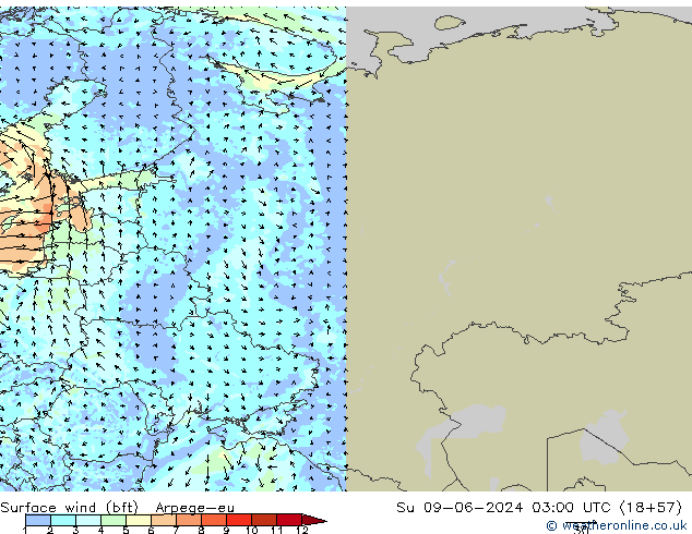 Surface wind (bft) Arpege-eu Su 09.06.2024 03 UTC