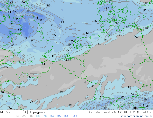 925 hPa Nispi Nem Arpege-eu Paz 09.06.2024 12 UTC