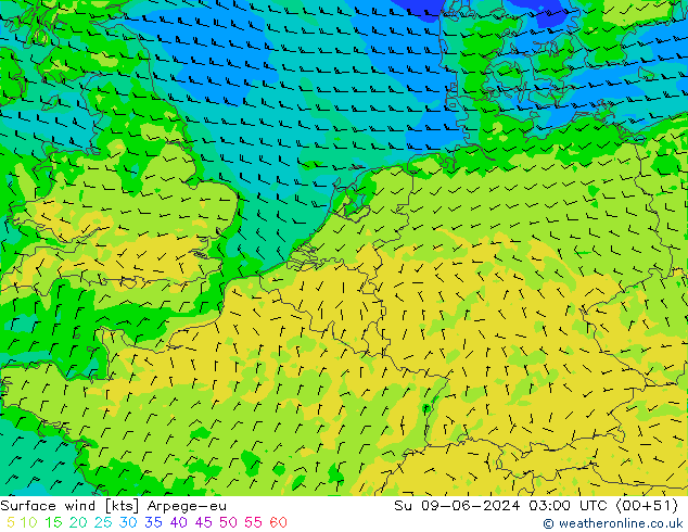  10 m Arpege-eu  09.06.2024 03 UTC