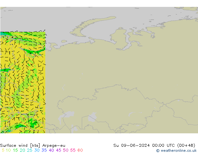 Surface wind Arpege-eu Su 09.06.2024 00 UTC