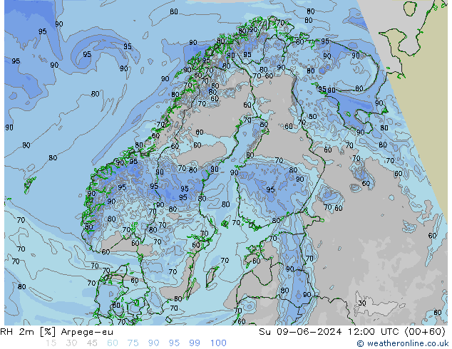 RH 2m Arpege-eu Dom 09.06.2024 12 UTC