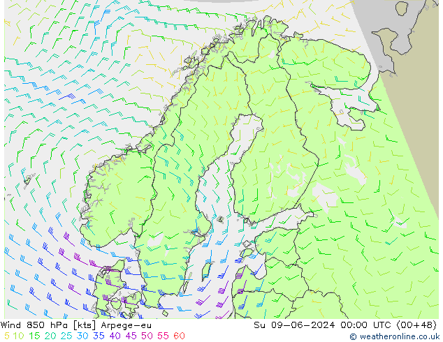 ветер 850 гПа Arpege-eu Вс 09.06.2024 00 UTC