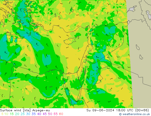  10 m Arpege-eu  09.06.2024 18 UTC