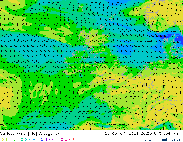 Bodenwind Arpege-eu So 09.06.2024 06 UTC