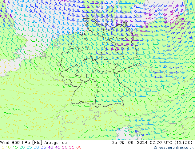 Rüzgar 850 hPa Arpege-eu Paz 09.06.2024 00 UTC