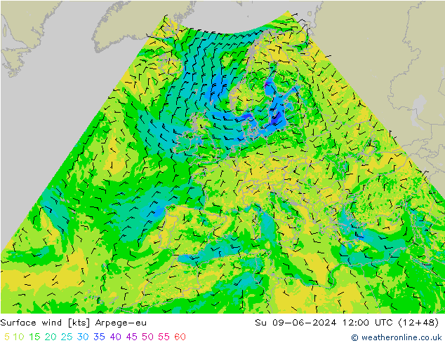 Surface wind Arpege-eu Su 09.06.2024 12 UTC