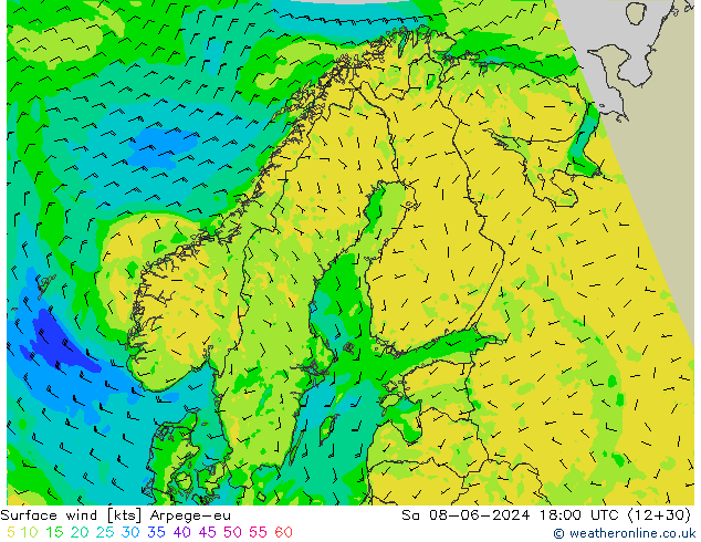 Bodenwind Arpege-eu Sa 08.06.2024 18 UTC