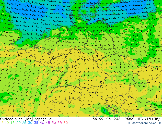 Wind 10 m Arpege-eu zo 09.06.2024 06 UTC